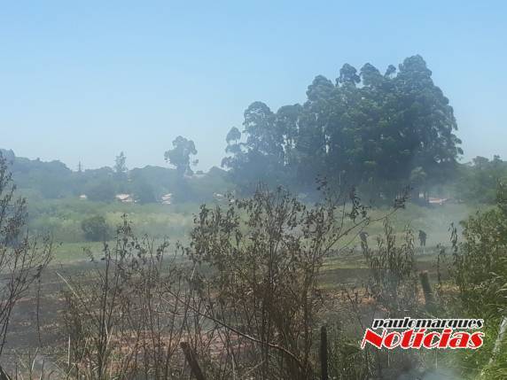 Bombeiros combatem incêndio em vegetação do bairro São Francisco, em Três de Maio - foto 2