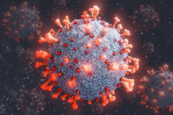 Cinco pessoas que não viajaram nem tiveram contato com viajantes tiveram o diagnóstico para a nova variante