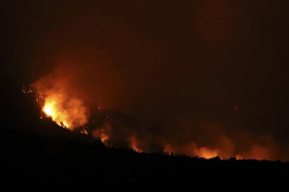 Áreas mais afetadas estão ao sul da Patagônia, onde foram perdidos milhares de hectares de mata nativa e espécies de araucárias