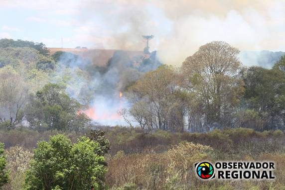 Incêndio de grandes proporções atinge mata próxima ao perímetro urbano de Braga - foto 2