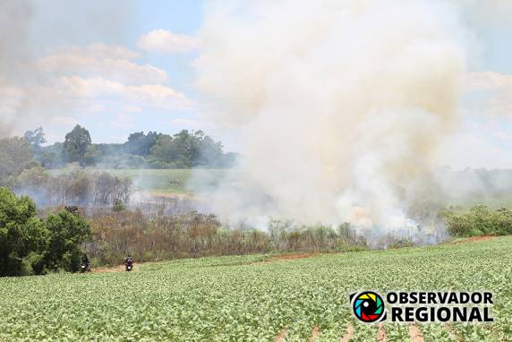 Incêndio de grandes proporções atinge mata próxima ao perímetro urbano de Braga - foto 3