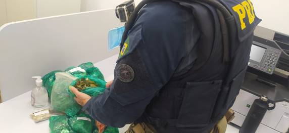 Eles entraram ilegalmente no país e transportavam diversas sacolas com folhas de coca