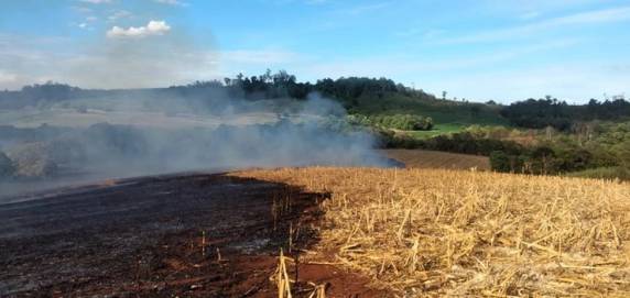 Incêndio atinge reserva Indígena do Guarita em Tenente Portela - foto 2