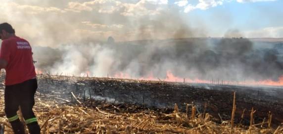 Incêndio atinge reserva Indígena do Guarita em Tenente Portela - foto 3