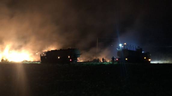 Incêndio em Candiota avançou sobre lavoura de soja - foto 2