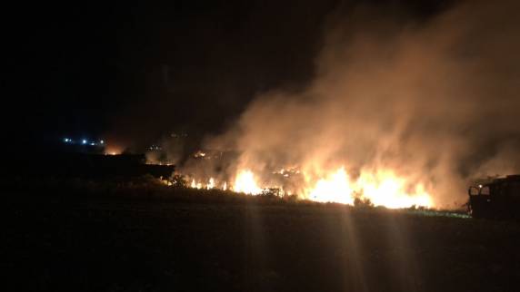 Incêndio em Candiota avançou sobre lavoura de soja - foto 3