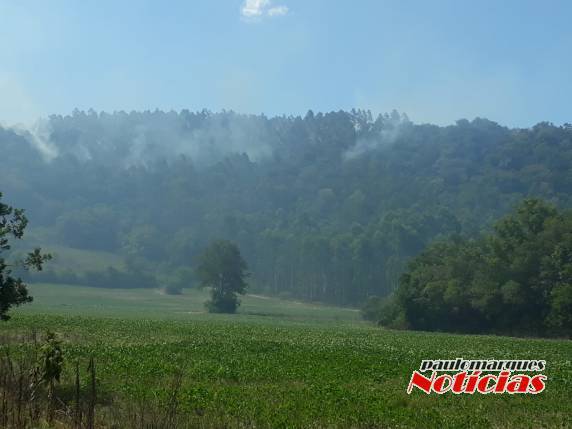 Bombeiros combatem incêndio no interior de Independência - foto 3