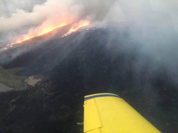 Alegrete registra diversos incêndios neste domingo - foto 3