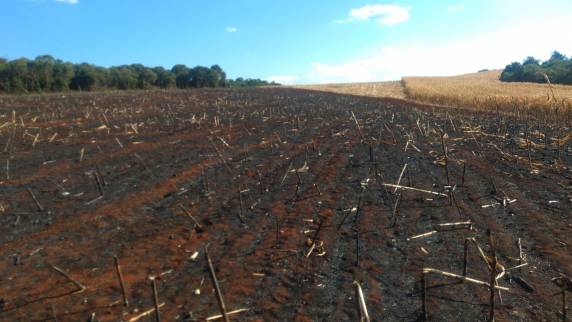 Bombeiros combatem incêndios na região, e em São Valério do Sul máquina é destruída pelo fogo - foto 3