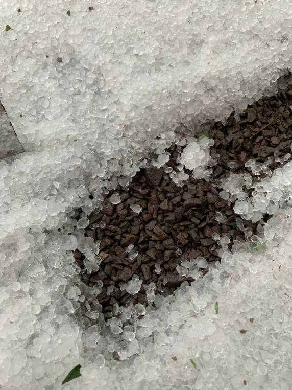 Temporal causa estragos nos município de Casca e Paraí - foto 4