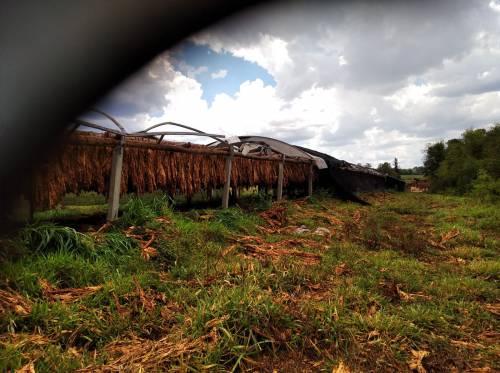 Vento forte provocou estragos em Lajeado Jacaré, no Interior de Crissiumal - foto 3