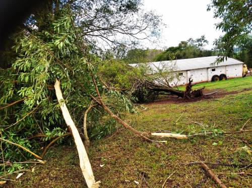Temporal ocorreu neste domingo