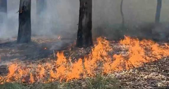 Campo pertence ao 4º Regimento de Carros de Combate de Rosário do Sul. Exército diz que calor e seca são os possíveis causadores dos focos de incêndio.