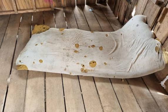 Sete homens são resgatados de fazendas em situação análoga à escravidão em São Borja - foto 2