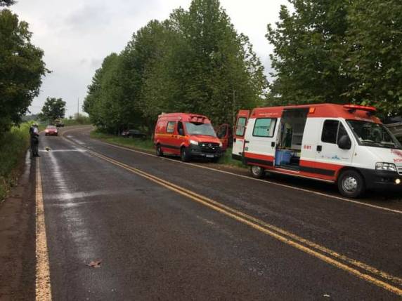 Veículo colide em árvore entre Erval Seco e Seberi - foto 2
