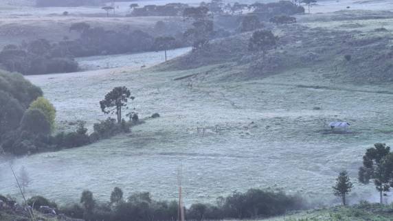 SC amanhece com mínima abaixo de 5°C e geada - foto 4