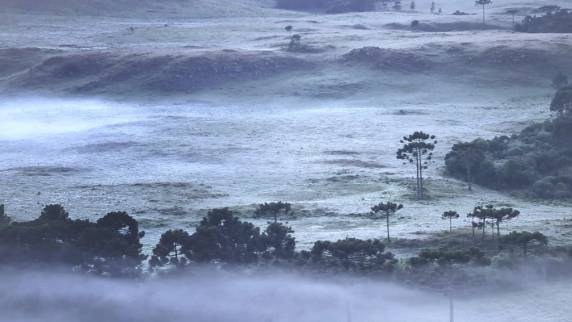 SC amanhece com mínima abaixo de 5°C e geada - foto 2