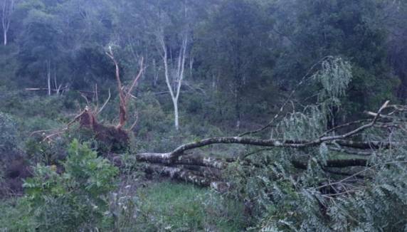 Temporal assusta moradores e deixa rastro de destruição no interior de Três Passos - foto 2