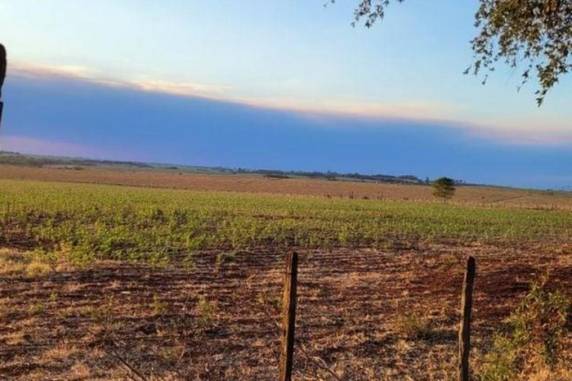 Bombeiros gaúchos vão à Argentina combater incêndio florestal que se aproxima de São Borja - foto 3