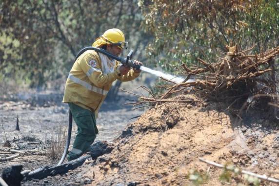 Queimadas ocorrem na cidade de Santo Tomé, que faz divisa com o município gaúcho