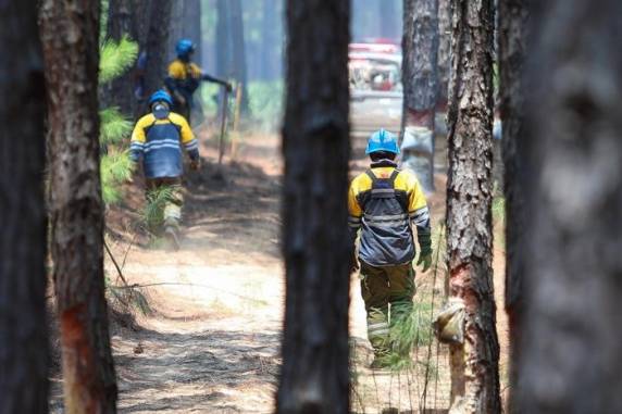 Incêndio na fronteira com a Argentina é avistado na região central de São Borja - foto 2