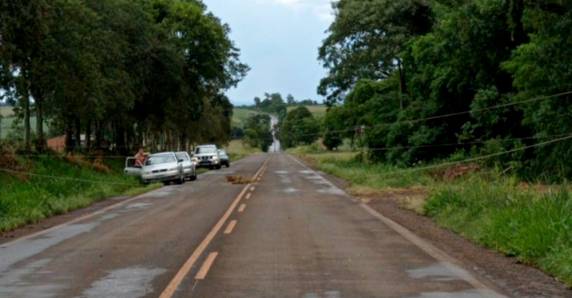 Fortes ventos registrados na tarde de hoje teriam derrubado poste em São Roque, entre Tuparendi e Porto Mauá.