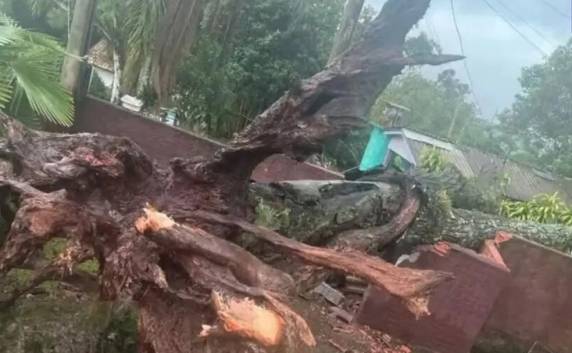 Municípios da Grande Florianópolis e Sul catarinense foram atingidos pela chuva.