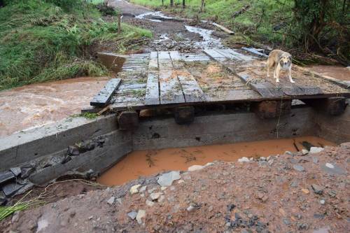 Enxurrada arrastou animais e equipamentos, danificou pontes, estradas e lavouras em Crissiumal - foto 2