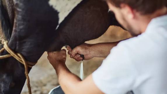 No acumulado de 12 meses, valor do produto avançou 20,47%