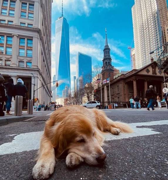 Fusca de Balneário Camboriú já passou por 16 países e circula pela Times Square, em Nova York - foto 3