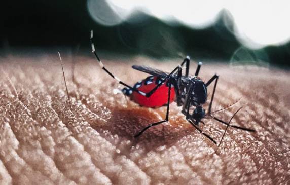 Até abril, país registrou mais de 542 mil infecções prováveis