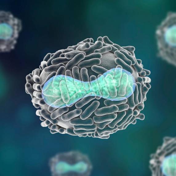 Paciente é morador da província de Buenos Aires e está em bom estado de saúde, mas mantém isolamento
