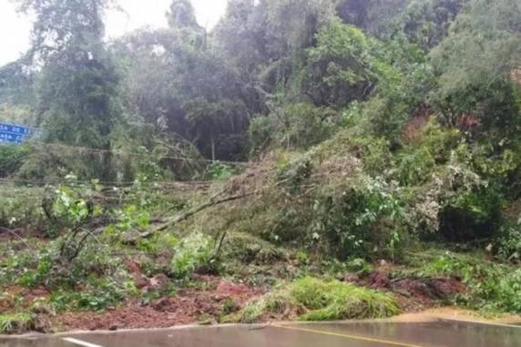 Desmoronamento da vegetação ocorreu na tarde deste domingo, no km 118 da rodovia