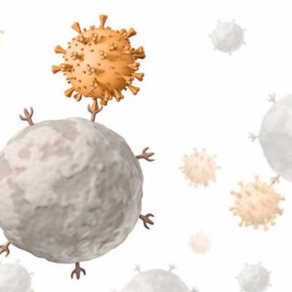 Entre os fatores que contribuem para a situação atual apontados por especialistas estão as mutações do vírus, a queda na proteção e a flexibilização do uso de máscara