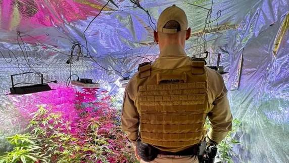 Flores de maconha são encontradas secando em varal de casa em SC - foto 2