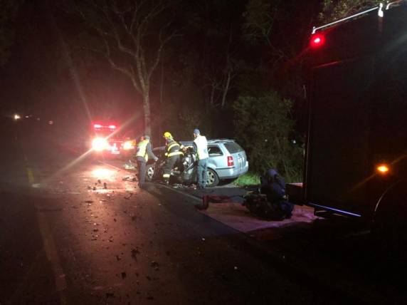 Mãe e filha de quatro anos morrem após colisão com caminhões carregados de suínos no meio-oeste catarinense - foto 2