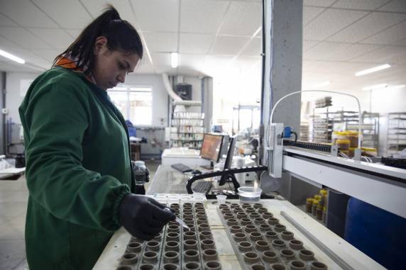 No centro do Estado, agrônomos usam tecnologia para avaliar o solo e recomendar fertilização personalizada nas lavouras - foto 3