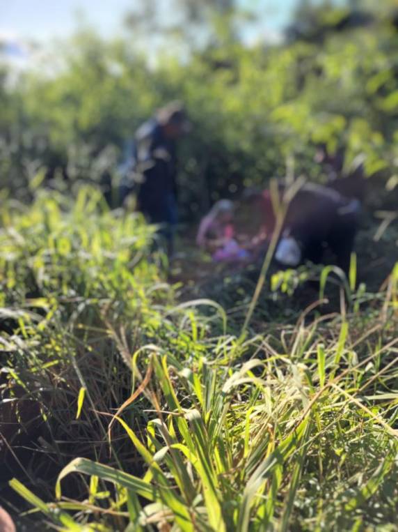 Mãe e filha de dois anos estavam no veículo