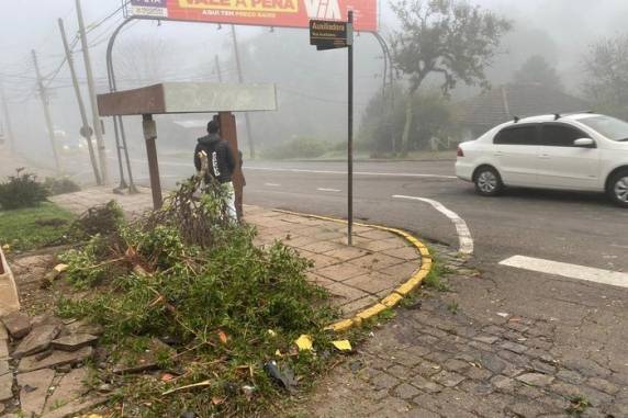 Acidente foi registrado na Rua Cremona