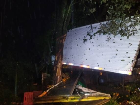 Motorista morre após caminhão sair da pista e colidir em árvores na SC-323 - foto 3