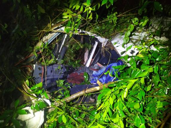 Motorista morre após caminhão sair da pista e colidir em árvores na SC-323 - foto 2