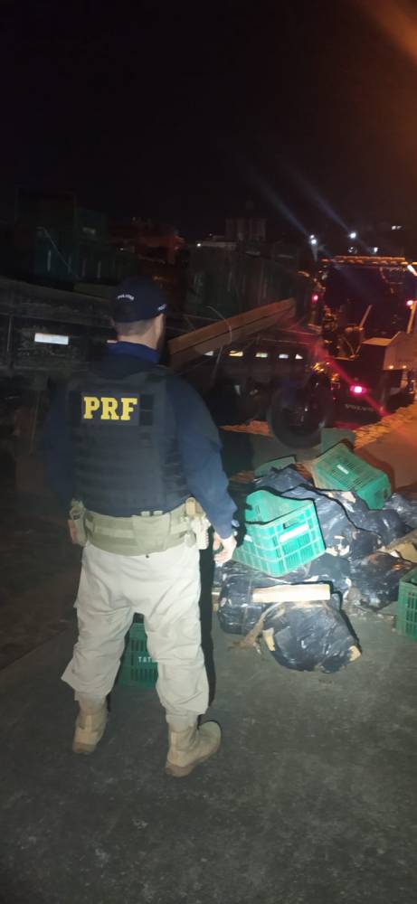 PRF realiza maior apreensão de maconha do ano em Santa Catarina - foto 2