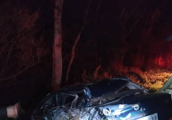 Irmã dela, de 9 anos, a mãe e o pai também se feriram e precisaram ser encaminhados a um hospital. Colisão ocorreu em Chapecó.