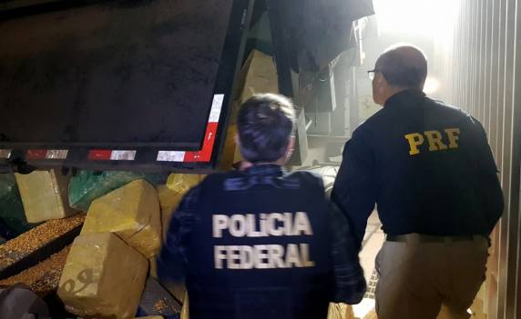 Ação conjunta PRF e PF fazem grande apreensão de maconha: quase 18 toneladas escondidas em carga de milho em Biguaçu - foto 2