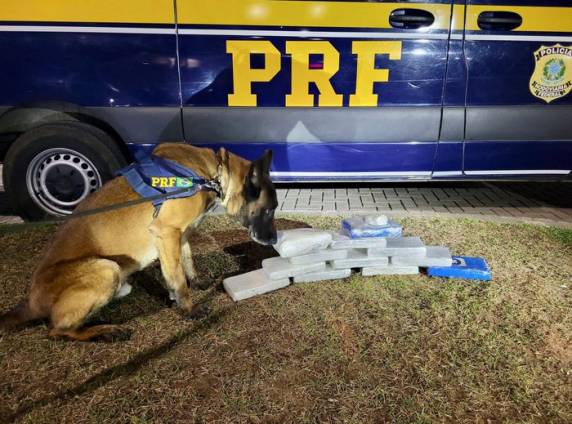 De acordo com a PRF, a droga apreendida poderia render mais de R$ 1 milhão para o tráfico