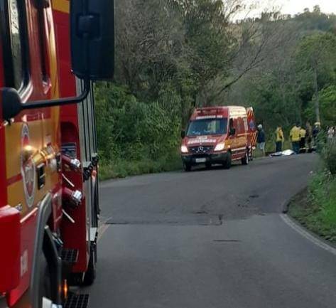 Vítima transitava pela rodovia quando foi surpreendida pelo animal