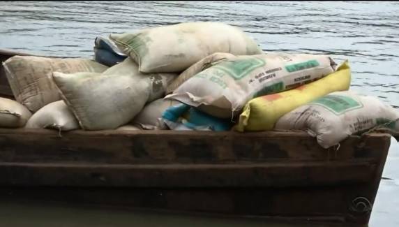 Esquema de contrabando de soja da Argentina pode trazer riscos de novas pragas nas lavouras - foto 4