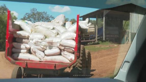 Esquema de contrabando de soja da Argentina pode trazer riscos de novas pragas nas lavouras - foto 2