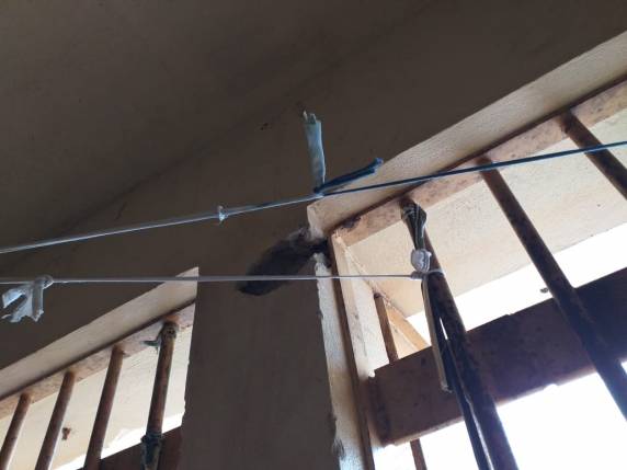 Operação na Penitenciária Estadual de São Luiz Gonzaga - foto 2