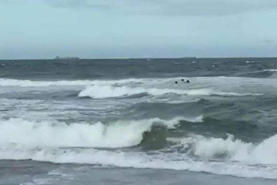 Caso ocorreu por volta das 16h30, na Praia Brava, em Itajaí, no Litoral Norte.